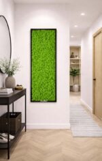 tablou licheni hol intrare x