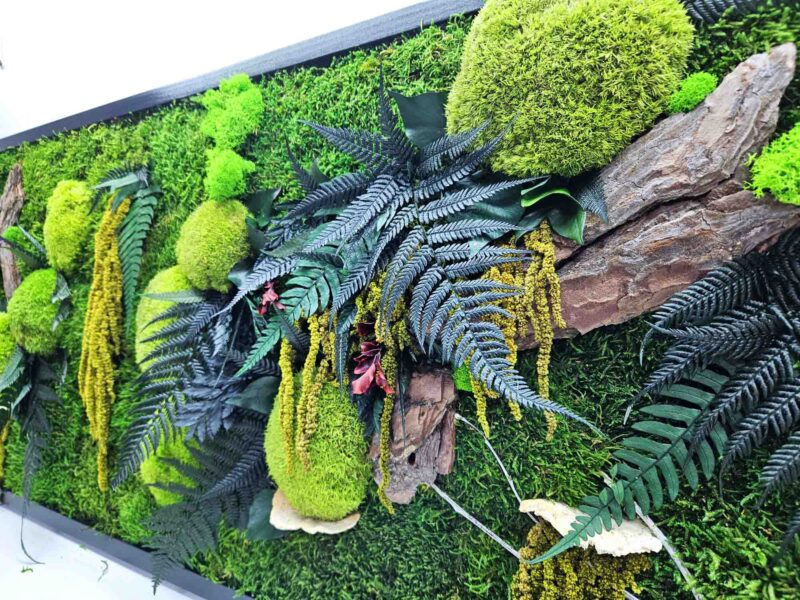 tablou cu licheni si scoarta2