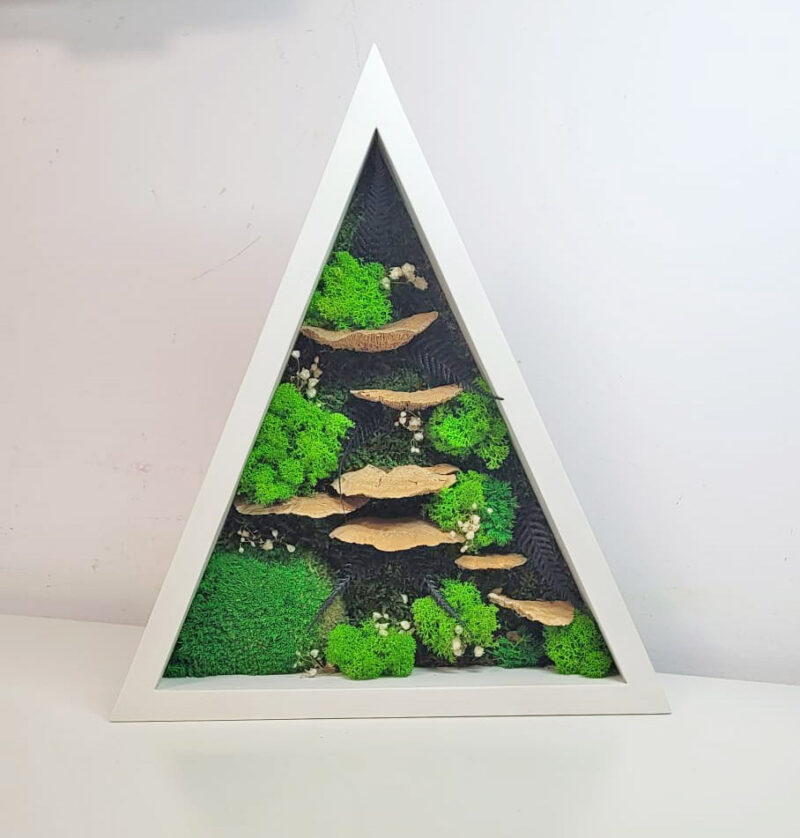 WhatsApp Image 2023 07 27 at 19.50.21