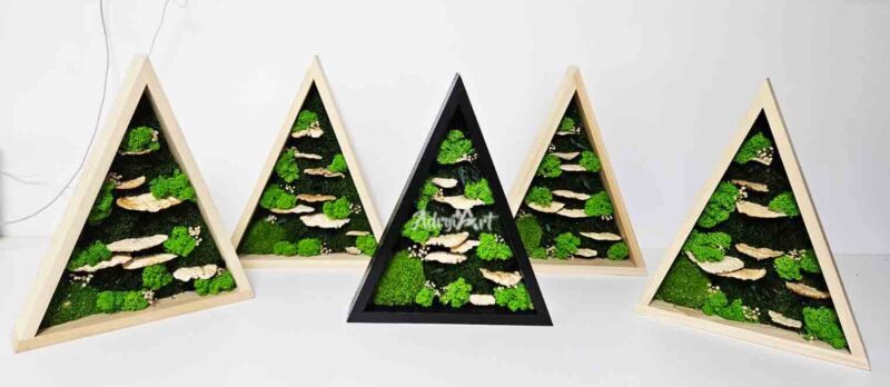 decoratiune mobila triunghi cu licheni