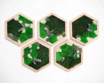 3 hexagoane decorate cu licheni si muschi stabilizati 3he30v LaR.jpg
