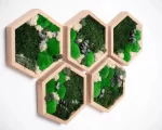 5 hexagoane decorative de perete cu muschi licheni si plante 5he3v1 CyO.jpg