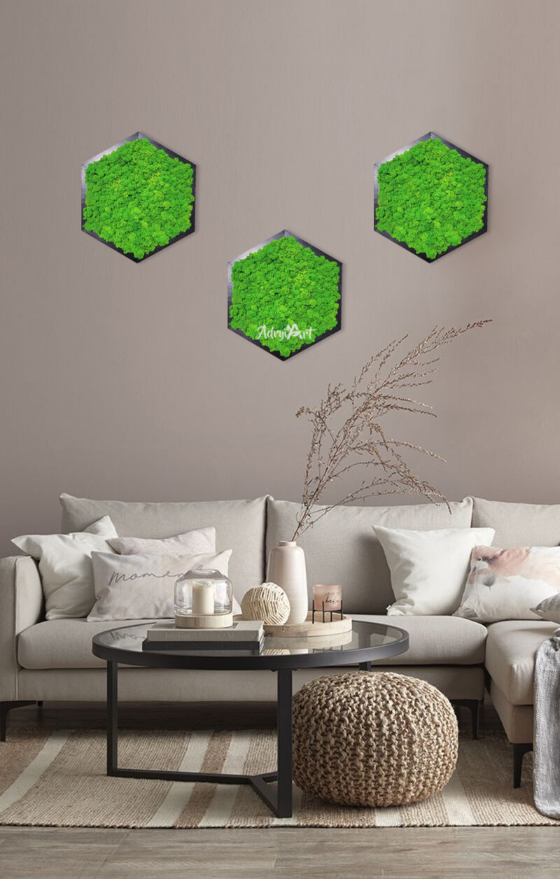 HEXASIMPLE