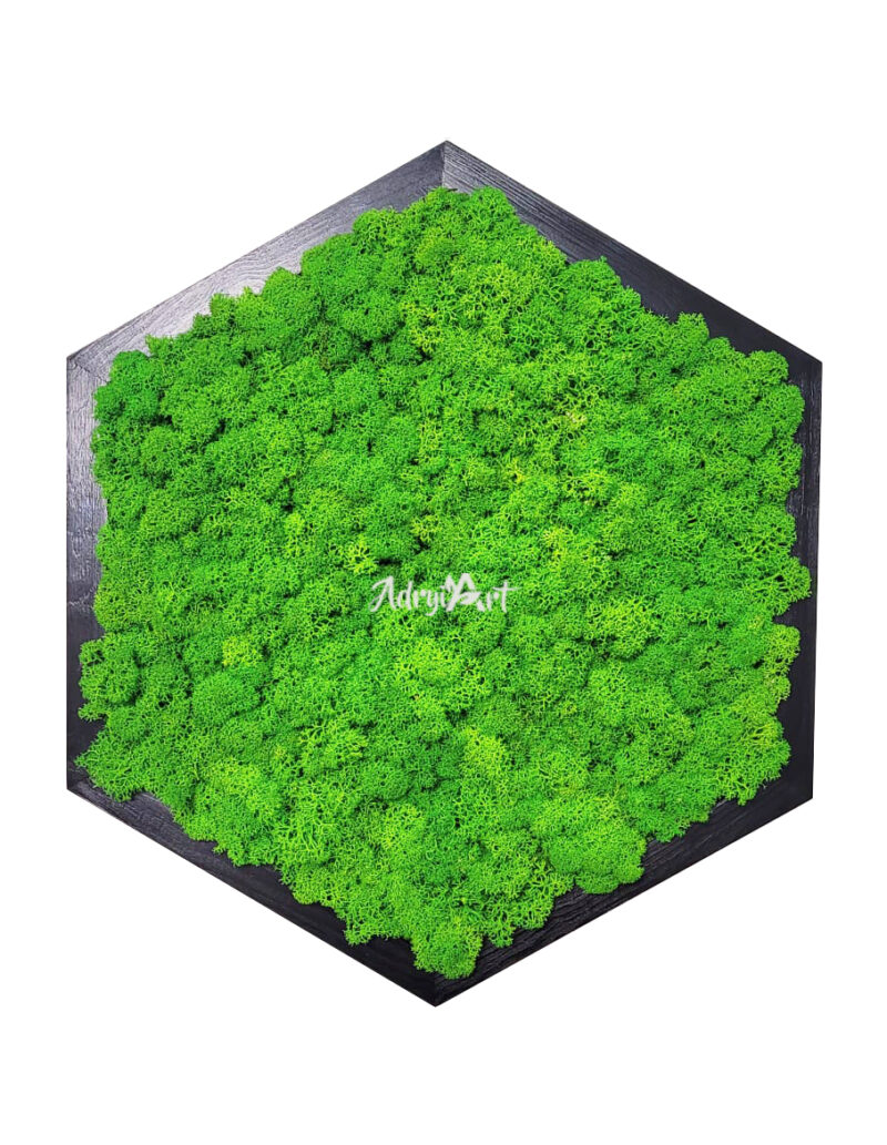 HEXASIMPLU1