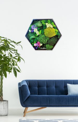Hexagon de perete decorat cu licheni muschi si plante criogenate1