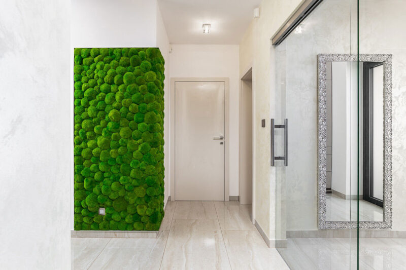 Perete verde Ball Green cu muschi bombati naturali2