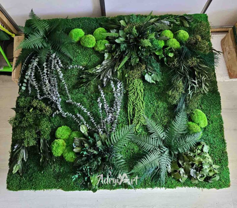 Perete verde Rich Fern cu muschi si plante stabilizate4
