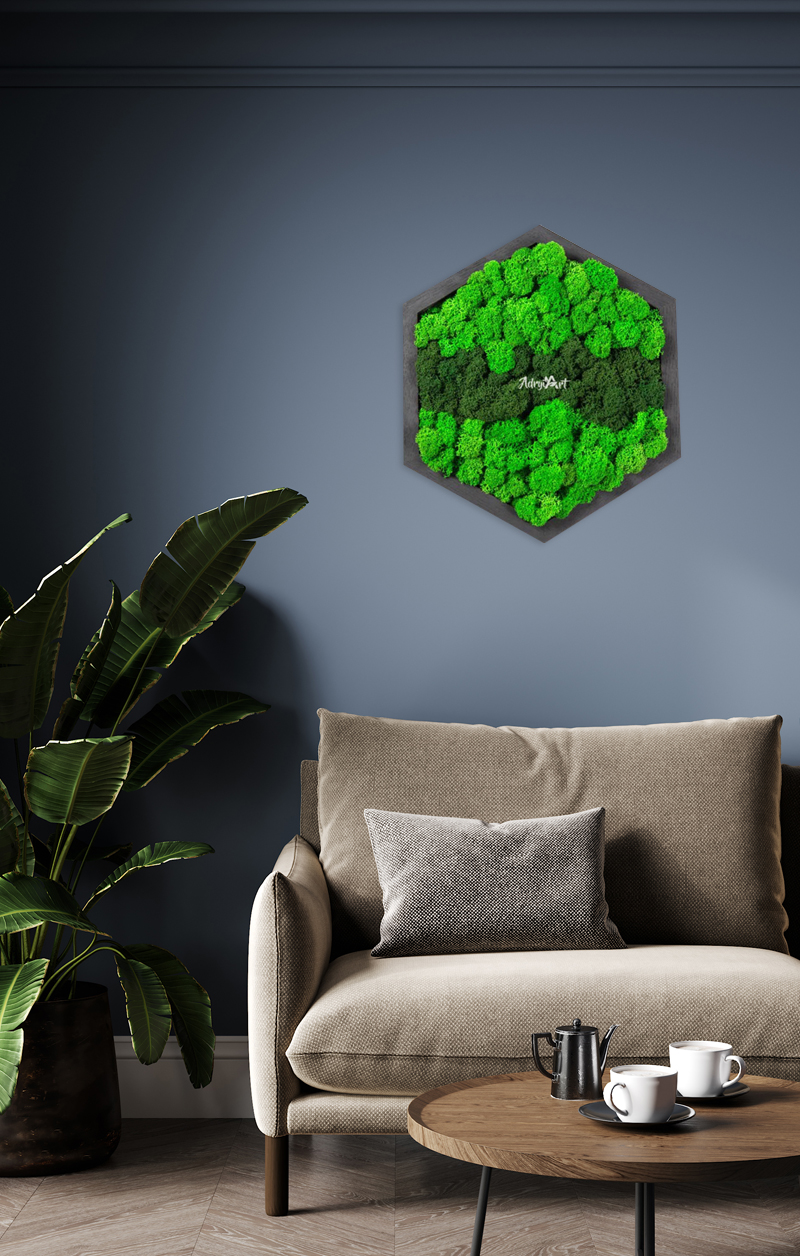 Tablou hexagon decorat cu licheni stabilizati7