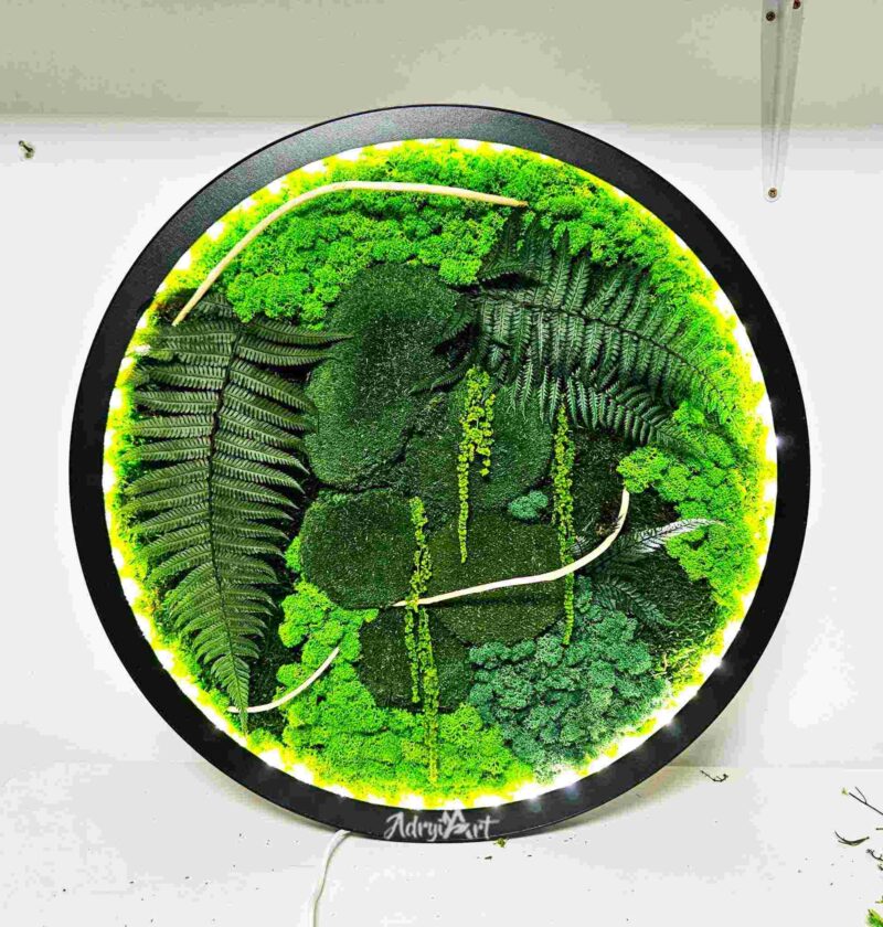 WhatsApp Image 2023 11 30 at 16.55.44