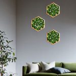 google image set de 3 hexagoane decorate cu licheni stabilizati w8QJrE1