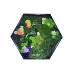 hexagon de 40cm decorat cu licheni muschi si plante criogenate he30mp vKy.jpg
