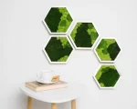 hexagon de perete decorat cu licheni muschi si plante criogenate he30mp HLj.jpg