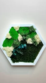 hexagon de perete decorat cu licheni muschi si plante criogenate he30mp LbK.jpg