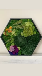 hexagon de perete decorat cu licheni muschi si plante criogenate he30mp t8W.jpg