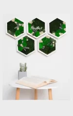 hexagon de perete decorat cu licheni muschi si plante criogenate he30mp ylY.jpg