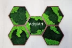 hexagon de perete decorat cu licheni muschi si plante criogenate he30mp zE5.jpg