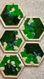 hexagon decorat cu licheni muschi si plante criogenate 40cm he30mp ZR1.jpg