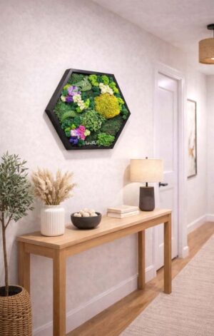 hexagon licheni cm hol