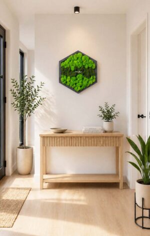 hexagon licheni hol cm