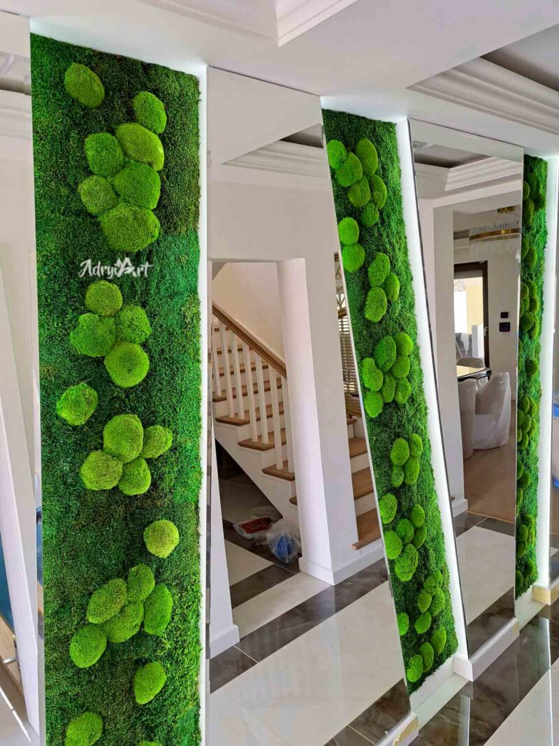 panou cu muschi bombati1