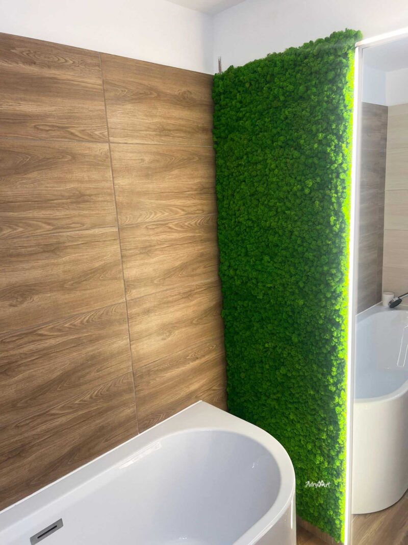 panou licheni stabilizati baie