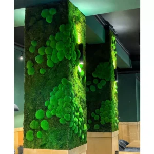perete natural ball moss cu muschi stabilizat adry eaq0yn qUO.jpg