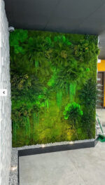 perete verde cu plante stabilizate