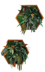 set de 2 hexagoane decorate cu muschi si plante stabilizate set2heg BXz.jpg