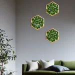 set de 3 hexagoane decorate cu licheni stabilizati 3he30li 1 OYQ.jpg