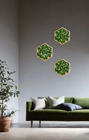 set de 3 hexagoane decorate cu licheni stabilizati 3he30li 1 OYQ.jpg