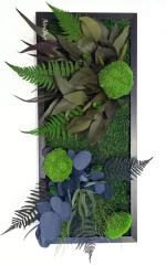 set de 3 tablouri decorate cu licheni stabilizati si plante criogenate tb30smp nBI.jpg