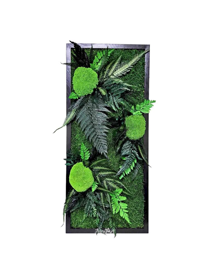 tablou argyrea cu muschi si ferigi