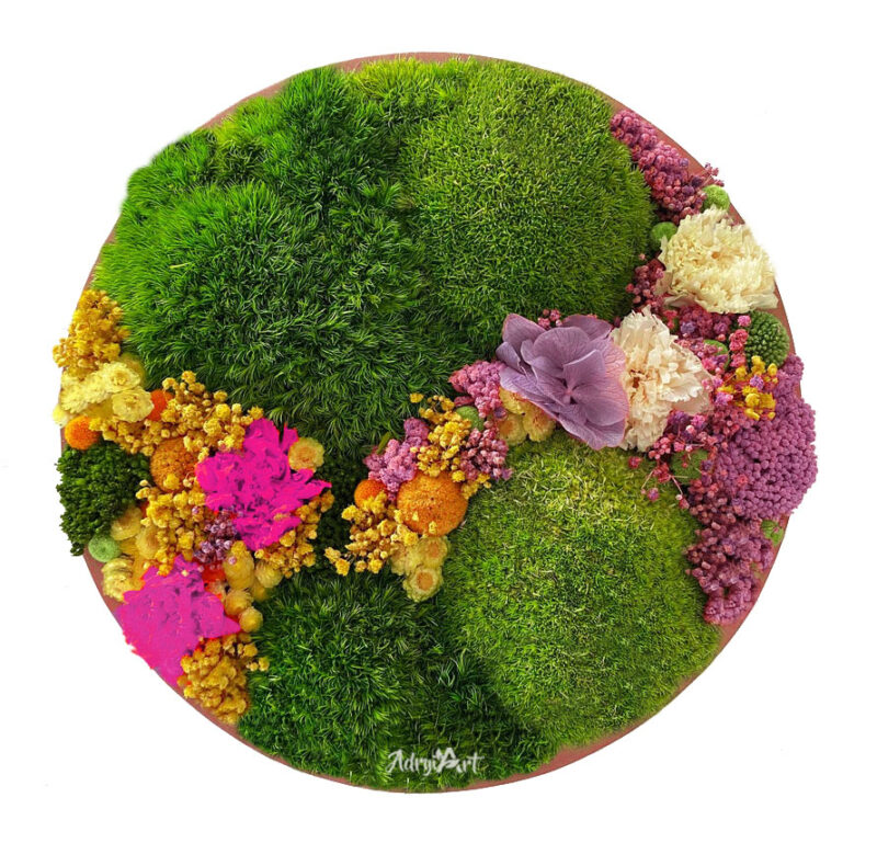 tablou cu licheni si garoage criogenate1