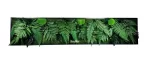 tablou fern nature decorat cu muschi plati si ferigi stabilizate ta30nat MSF.jpg