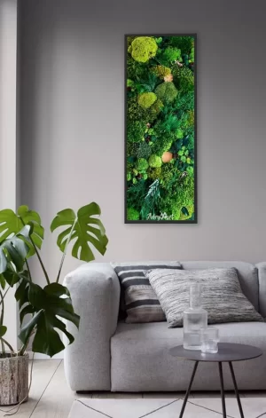 tablou fernmoss art decorat cu muschi premium ferigi stabilizate si elemente naturale tb70fma 0MQ.jpg