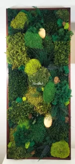 tablou fernmoss art decorat cu muschi premium ferigi stabilizate si elemente naturale tb70fma Woe.jpg
