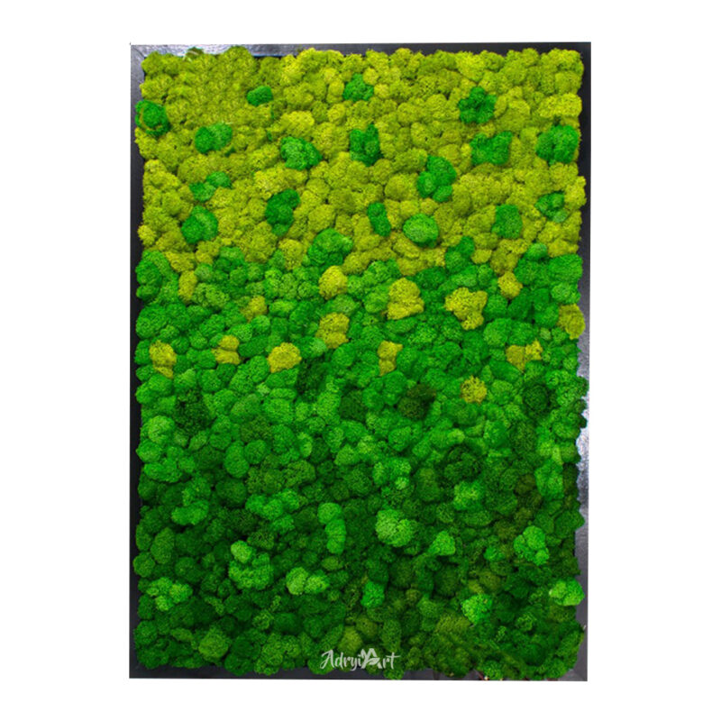 tablou green day decorat cu licheni verzi in degrade t8QGD71