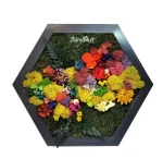 tablou hexagon de perete decorat cu muschi licheni si flori criogenate he30rai 0Nq.jpg