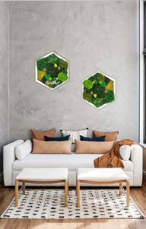 tablou hexagon decorat cu muschi stabilizati pufosi in diverse modele he30msp ZHM.jpg