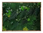 tablou ivy decorat manual cu licheni naturali feriga stabilizata muschi plati si plante criogenate ta30frl 4BX.jpg