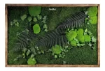 tablou ivy decorat manual cu licheni naturali feriga stabilizata muschi plati si plante criogenate ta30frl Ec3.jpg