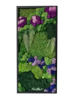 tablou natural colorfull cu licheni multicolori si muschi tb25mos Q7G.jpg