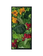 tablou natural colorfull cu licheni multicolori si muschi tb25mos d6G.jpg