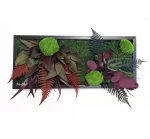 tablou natural decorat cu muschi plat si plante criogenate tb30mp AMT.jpg