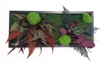 tablou natural decorat cu muschi plat si plante criogenate tb30mp EtC.jpg
