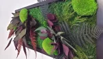 tablou natural decorat cu muschi plat si plante criogenate tb30mp dRT.jpg