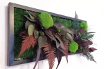 tablou natural decorat cu muschi plat si plante criogenate tb30mp qUM.jpg