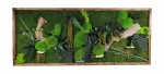 tablou oak decorat cu muschi scoarta de stejar amaranthus si plante stabilizate ta50oak NVo.jpg