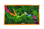 tablou river cu muschi plati bombati si licheni multicolori ta100fl1 1Ic.jpg
