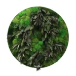tablou rotund adiant fern decorat cu muschi bombati si ferigi stabilizate ta60adt DJ2.jpg